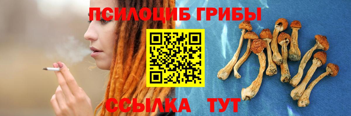 Псилоцибиновые грибы ЛСД Кулебаки